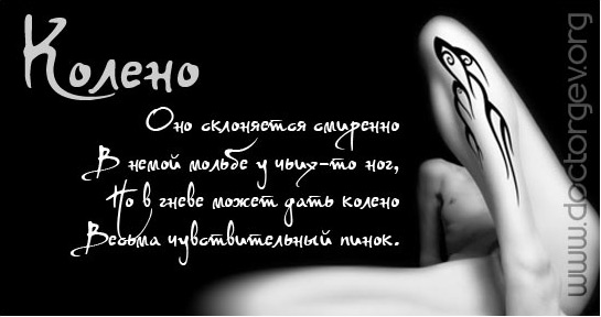 Про анатомию статусы Про анатомию статусы